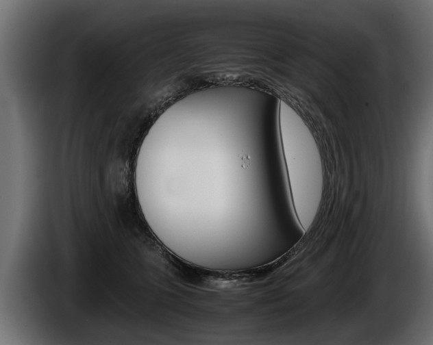 X0000086760563200704130817