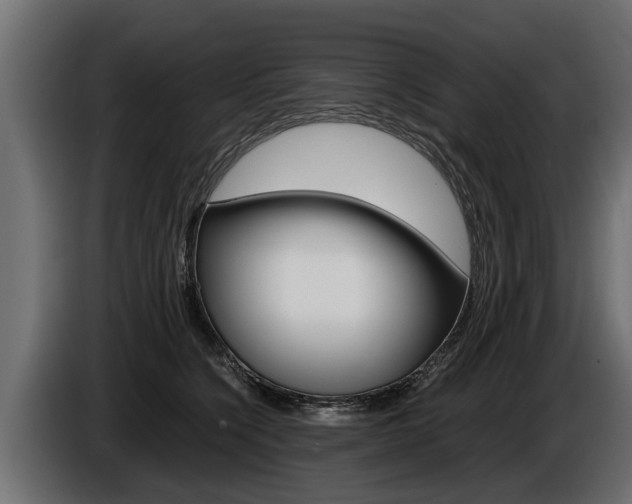 X0000086760564200704130817