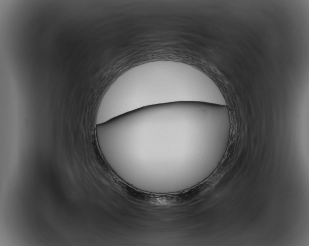 X0000086760565200704130817
