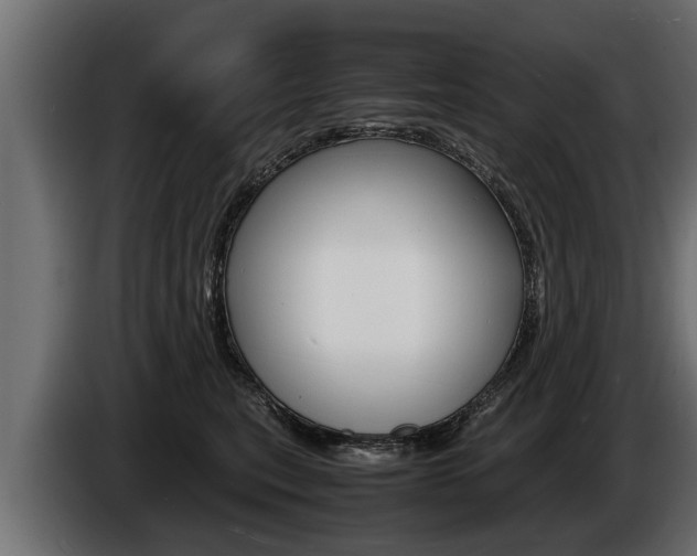 X0000086760567200704130817
