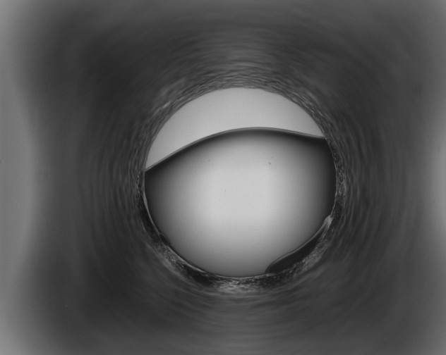 X0000086760568200704130817