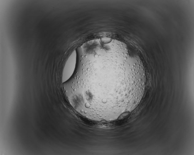 X0000086760569200704130817