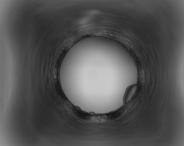 X0000086760571200704130817