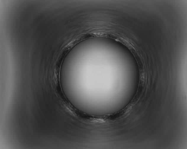X0000086760572200704130817