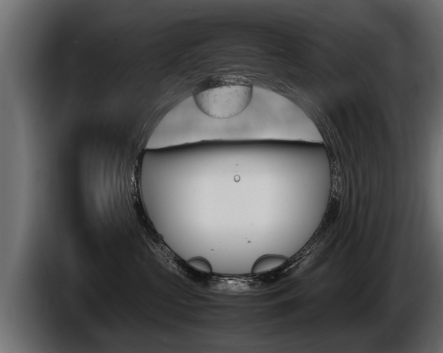 X0000086760573200704130817