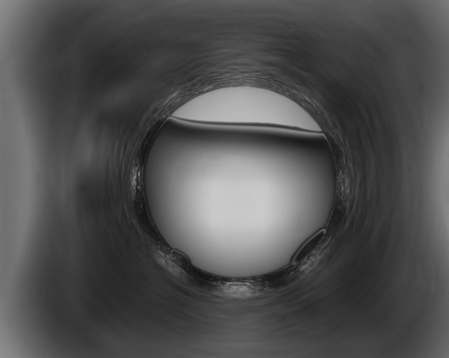X0000086760574200704130817