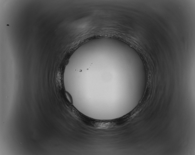X0000086760575200704130817