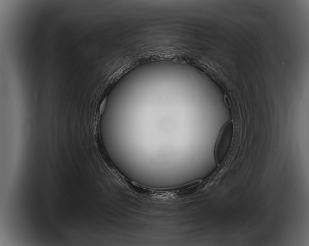 X0000086760576200704130817