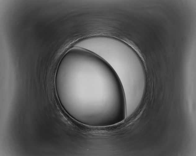 X0000086760577200704130816