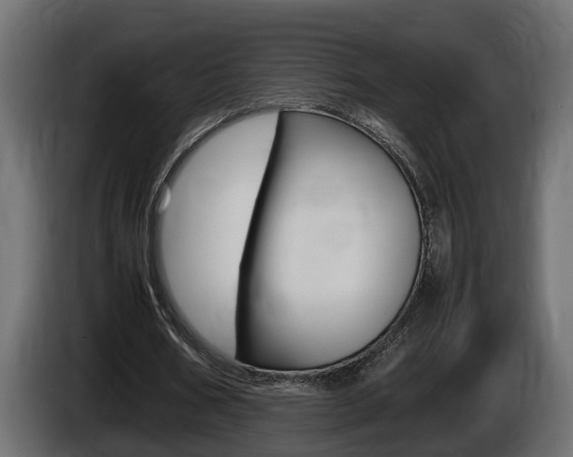 X0000086760578200704130816