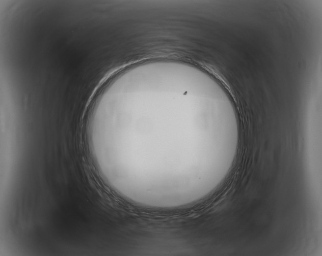 X0000086760579200704130816