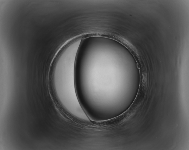 X0000086760580200704130816