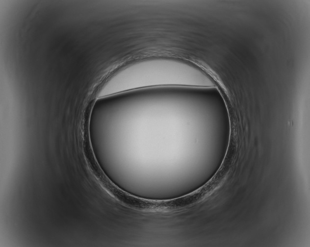 X0000086760581200704130816