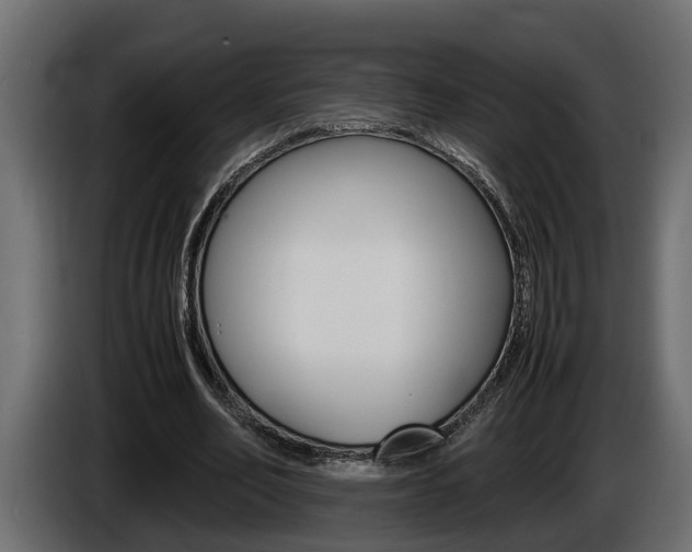X0000086760582200704130816
