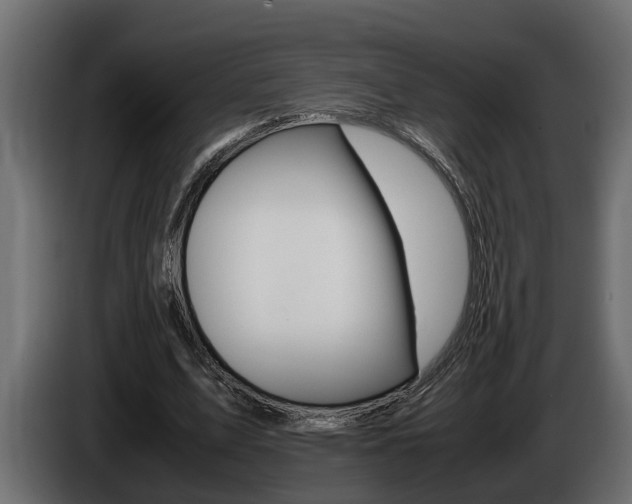X0000086760583200704130816