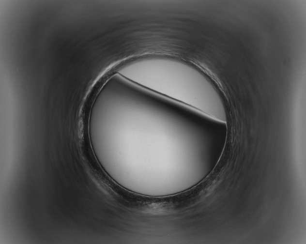 X0000086760584200704130816