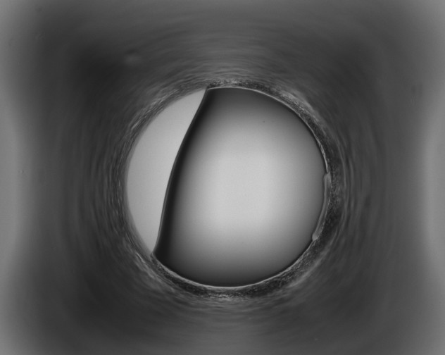 X0000086760585200704130816