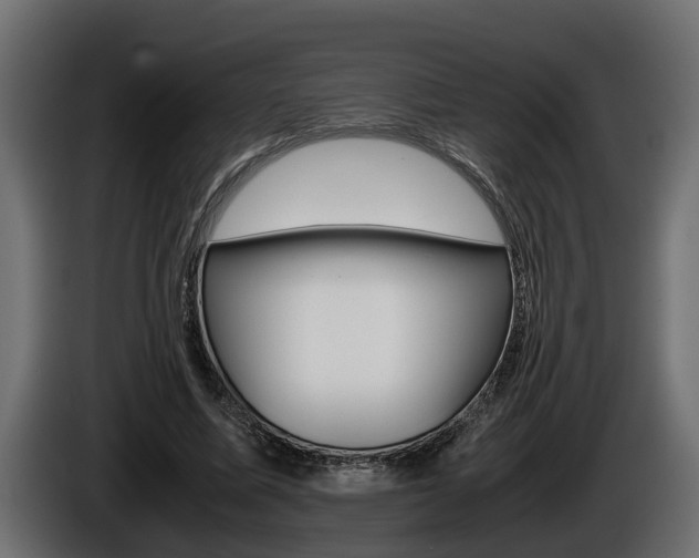 X0000086760587200704130816