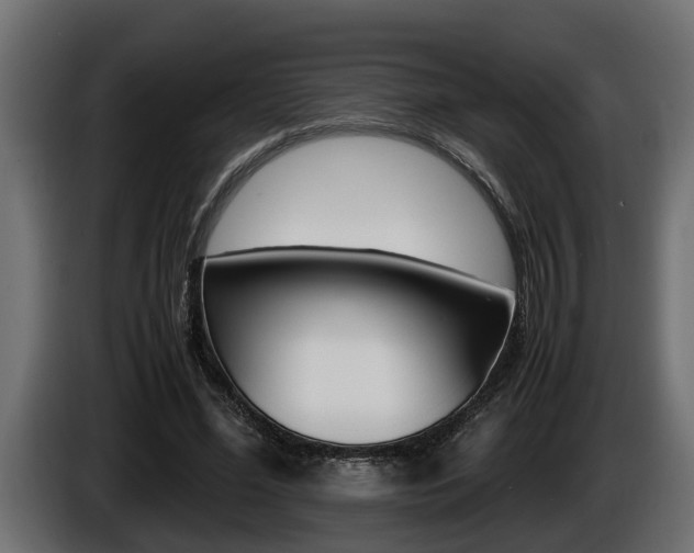 X0000086760588200704130816