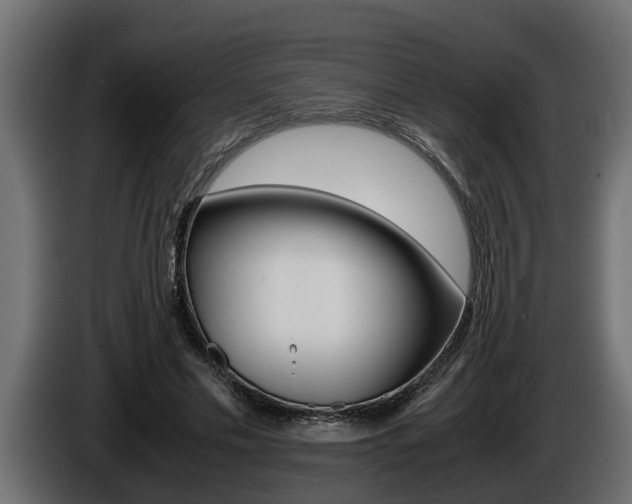 X0000086760589200704130816