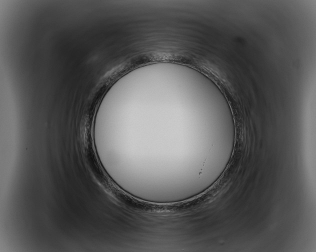 X0000086760590200704130816