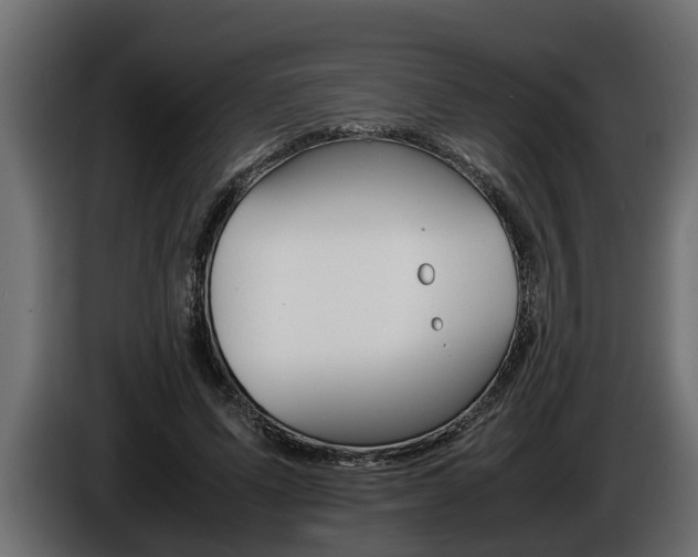 X0000086760591200704130816