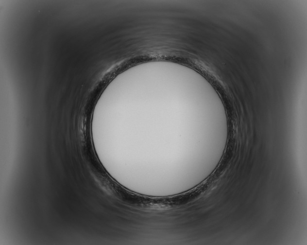 X0000086760592200704130816