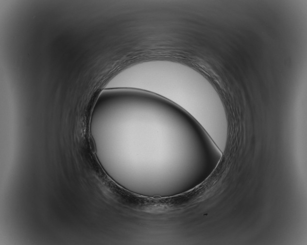 X0000086760593200704130816