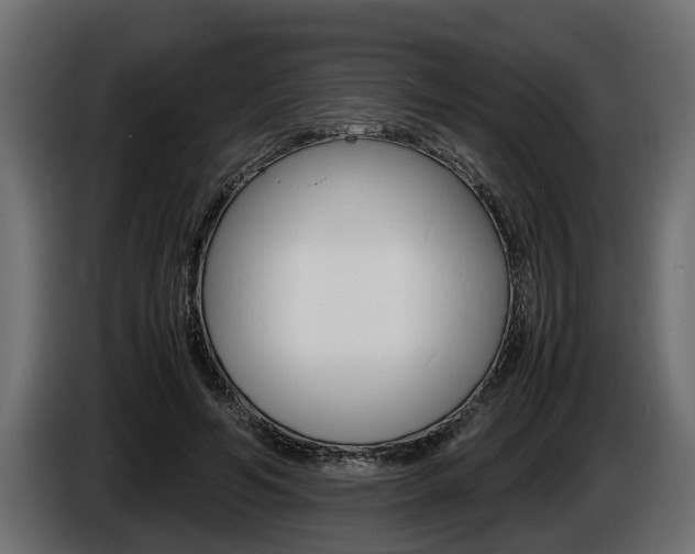 X0000086760594200704130816