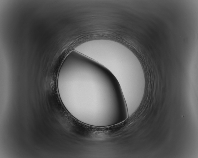 X0000086760595200704130816