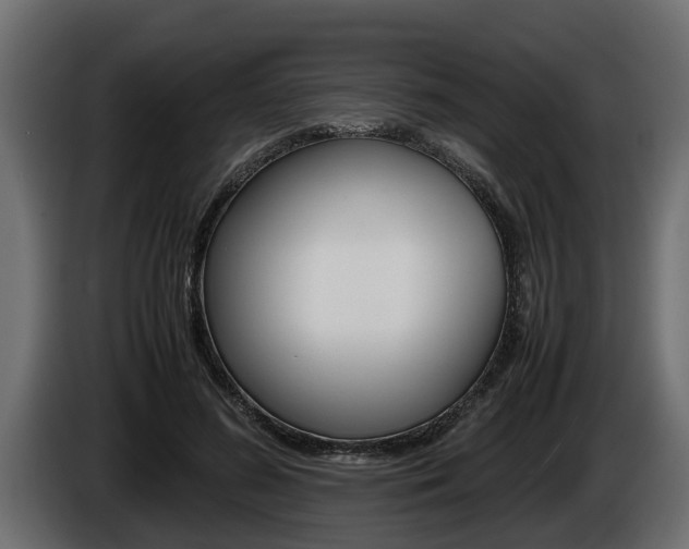X0000086760596200704130816