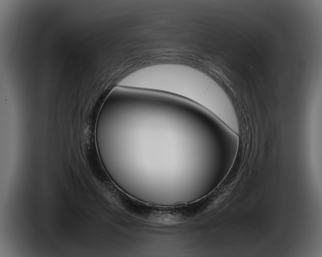 X0000086760597200704130816