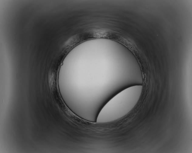 X0000086760598200704130816