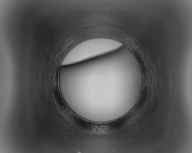 X0000086760599200704130816