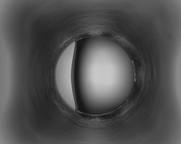 X0000086760600200704130816