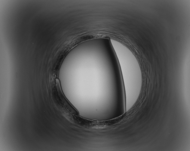 X0000086760601200704130816