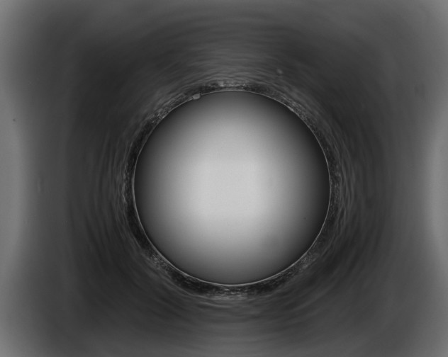 X0000086760604200704130816