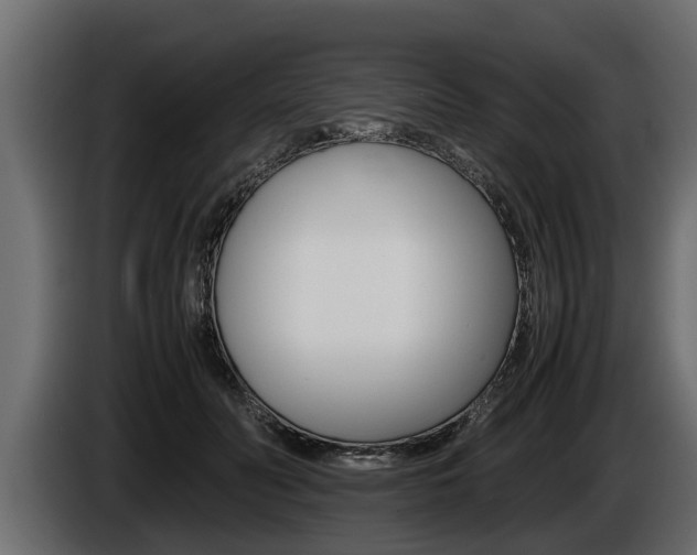 X0000086760606200704130816