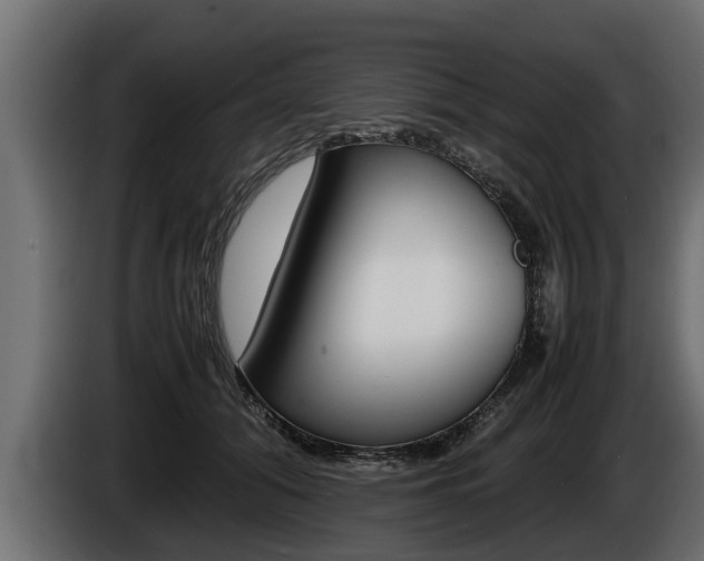 X0000086760608200704130816