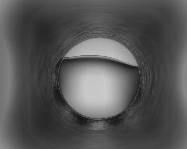 X0000086760609200704130816