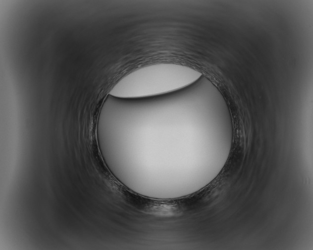 X0000086760610200704130816