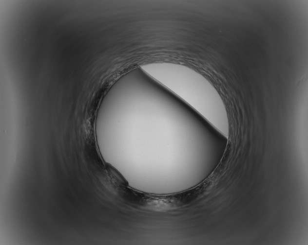 X0000086760611200704130816