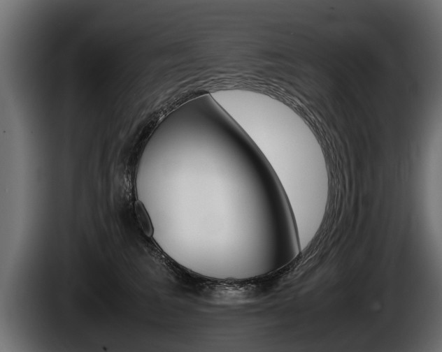X0000086760613200704130816