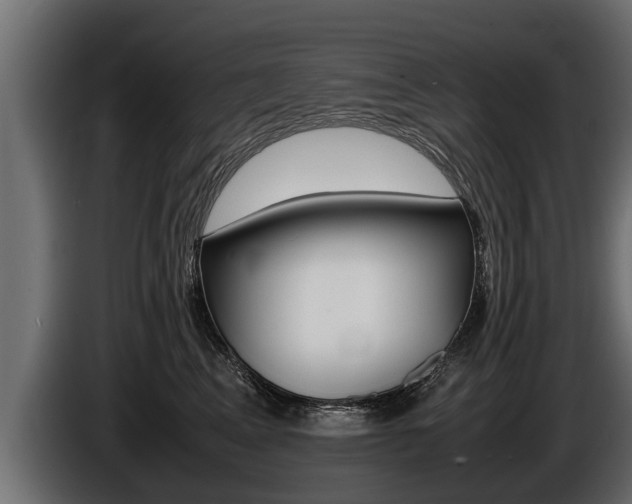X0000086760617200704130816