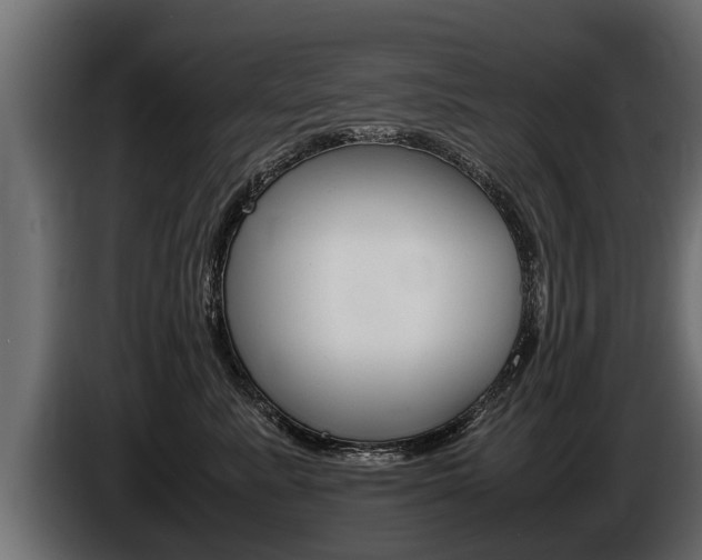 X0000086760619200704130816