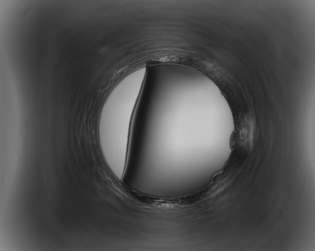 X0000086760620200704130816