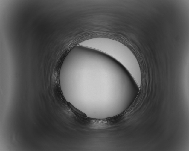 X0000086760621200704130816