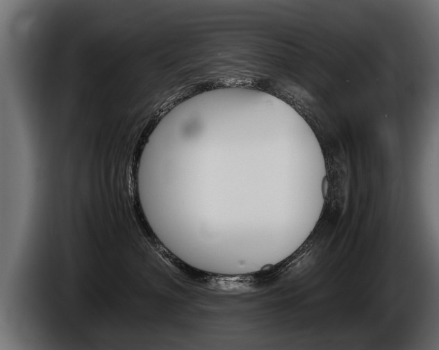 X0000086760622200704130816