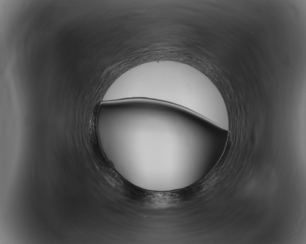 X0000086760623200704130816