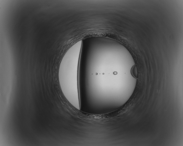 X0000086760624200704130816